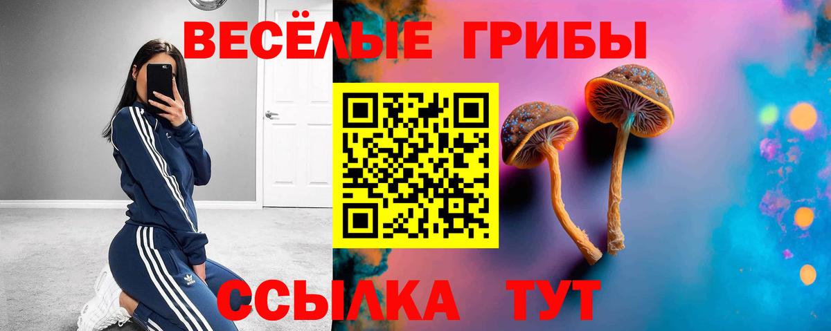 Псилоцибиновые грибы прущие грибы  Галлюциногенные грибы Psilocybine cubensis  цена наркотик  Вход с VPN  Бахчисарай 